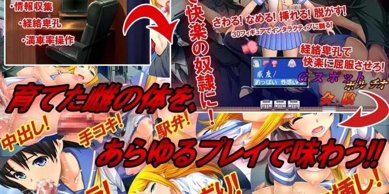 Chikan no Kiwami: The Last Molester – 痴漢の極み